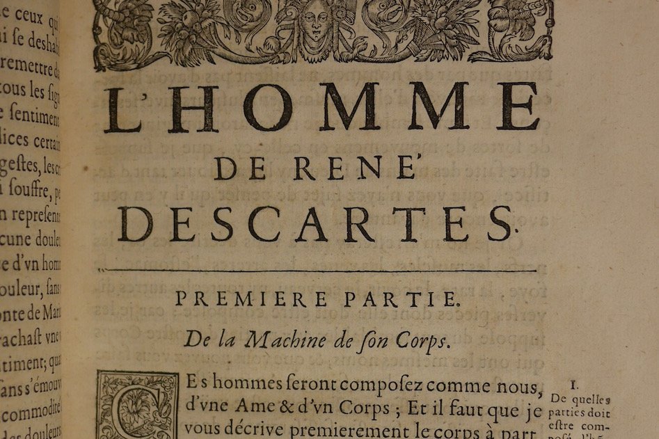 L'homme de René Descartes